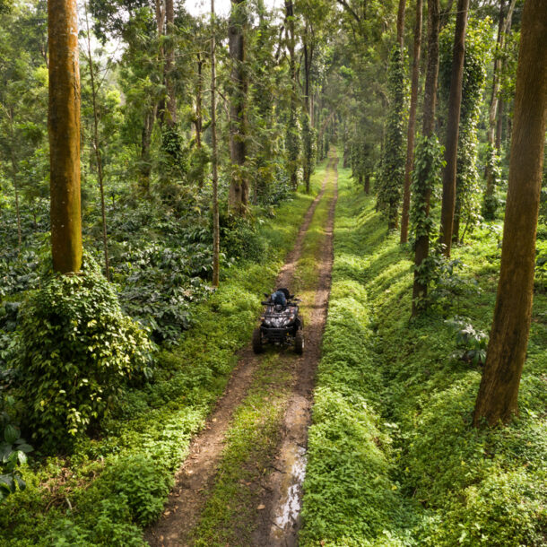 Tusker Trail Coorg