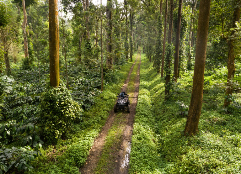 Tusker Trail Coorg
